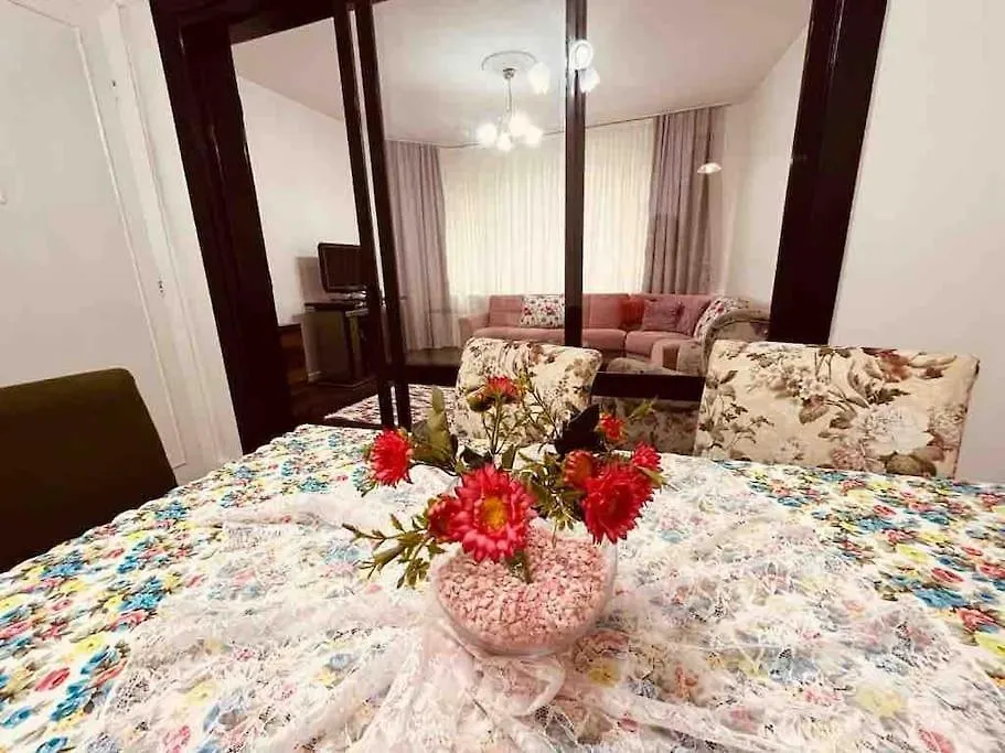 Arya 3 Bedroom Family Pink Flat 伊斯坦布尔 公寓